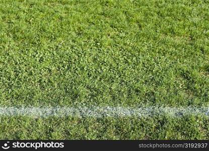 White painted line on a football pitch