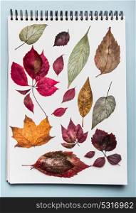 White paper Notebook with various colorful dried autumn leaves.Herbarium folder with fall leaves, top view