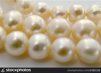 white pearl. Close-up