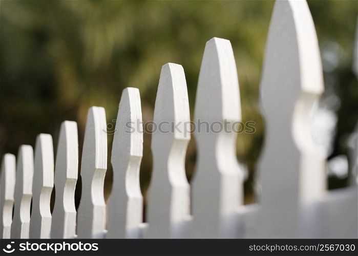 White picket fence.