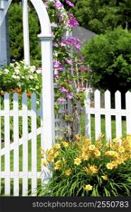 White picket fence and pink clematis at country house
