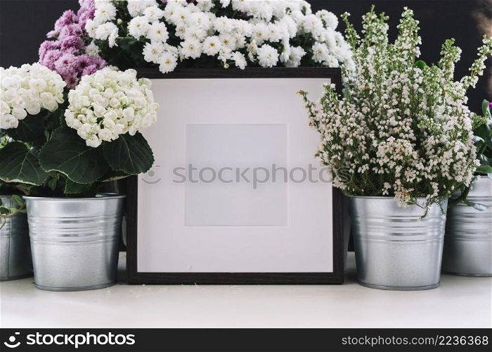 white picture frame surrounded with potted beautiful flowers