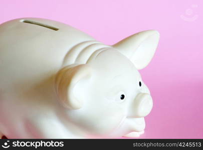 white piggy bank isolated on white background