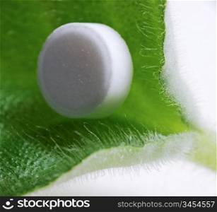 white pill lying on a green leaf