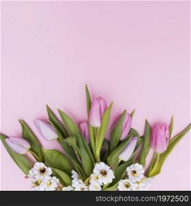 white pink colored flowers. High resolution photo. white pink colored flowers. High quality photo