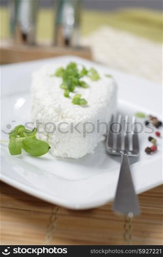 White Polish cheese on plate