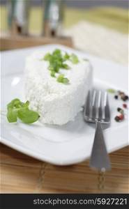 White Polish cheese on plate