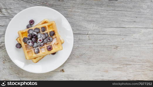 White porcelain plate with sweet waffles and fresh berries, powdered with sugar, on the background of old wooden board, with space for text