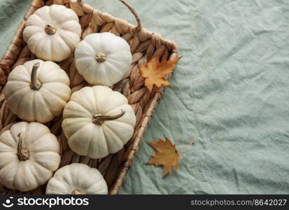 White pumpkins and autumn leaves on a wicker tray. Autumn home decor.