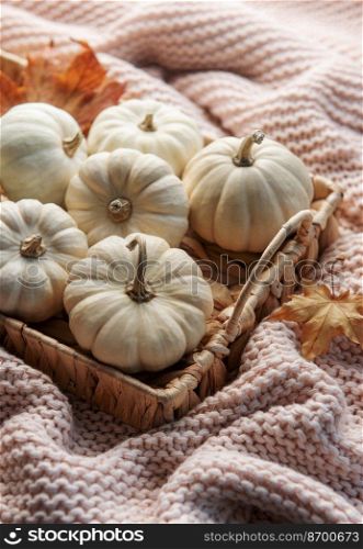 White pumpkins and autumn leaves on a wicker tray. Autumn home decor.