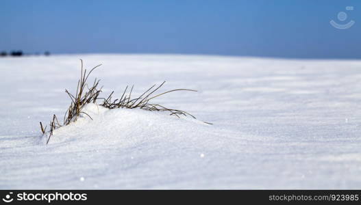 white pure snow after blizzards and snowfalls, deep snowdrifts in Sunny weather. white pure snow