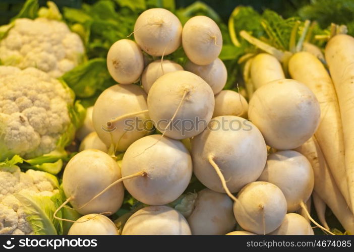 white radish long and round. radish