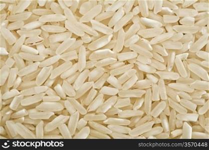 white raw rice background