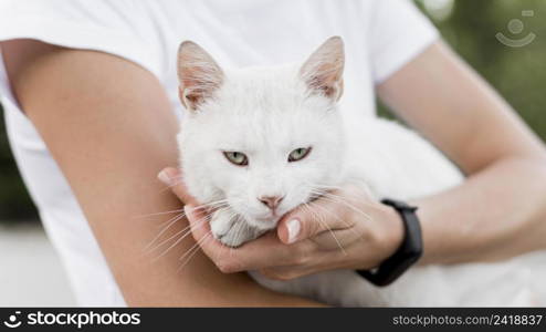 white rescue cat being held by woman adoption shelter