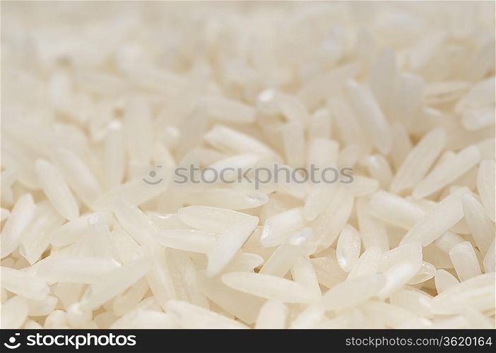 White rice, close-up
