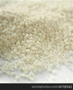 White rice close up texture. Background pattern