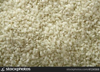White rice close up texture. Background pattern of rice seeds from Spain