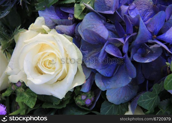 White rose and blue hydrangea in flower arrangement