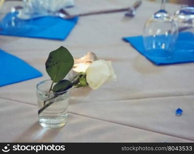 White rose and decorations over dressed table, horizontal image