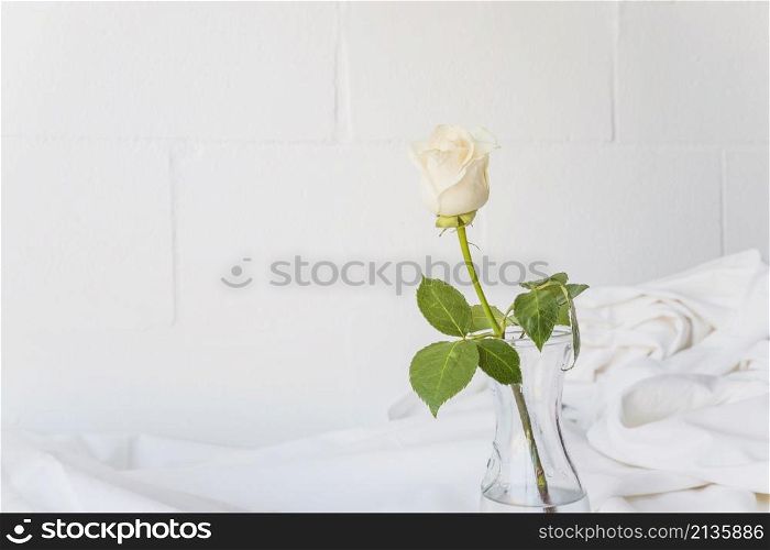 white rose is glass vase table