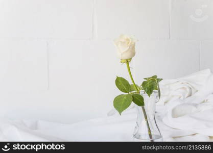 white rose is glass vase table