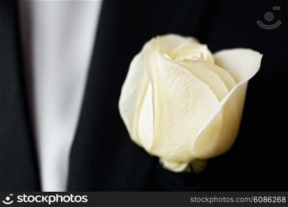 white rose on the suit of groom