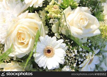 White roses and gerberas in the sun