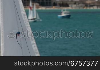 white sail waving on the wind in the background windsurfers