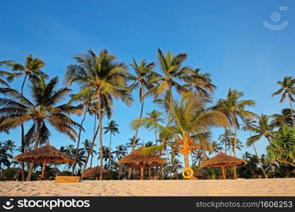 White sand and palm trees on a tropical beach of Zanzibar island 