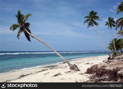 White sand beach and palm trees on the coast in Upolu, Samoa