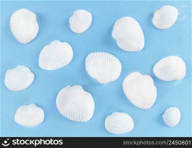 White seashells on a blue background.. White sea shells on a blue background.