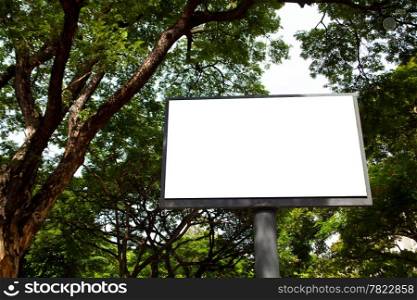 White signboard. In the tall trees within the park.