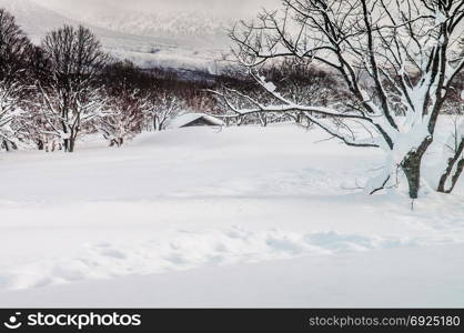 White Snow covered land in mid winter at foot of Mount Hakkoda, Aomori, Japan