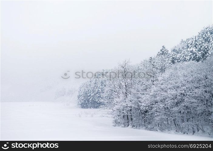 White snow covered landscape and forest of Aomori in winter, Tohoku, Japan