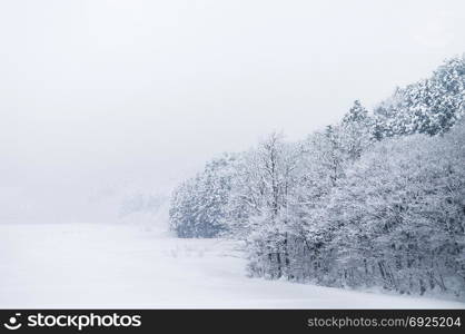 White snow covered landscape and forest of Aomori in winter, Tohoku, Japan