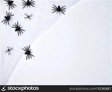 white spider web with black spiders, white background, copy space