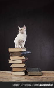 White standing top of the old book pile