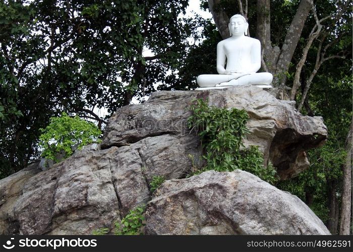 White statue of buddha under big tree