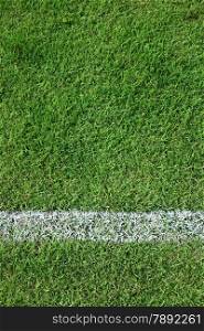 White stripe on green grass soccer field.