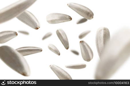 White sunflower seeds levitate on a white background.. White sunflower seeds levitate on a white background