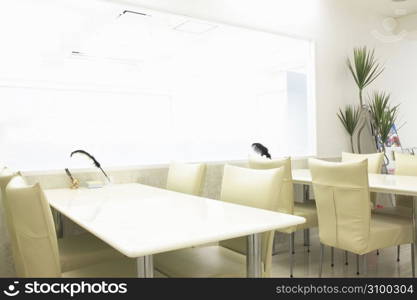 White table and chair