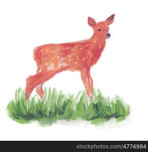 White-tailed deer fawn in grass watercolor painting. White-tailed deer fawn watercolor