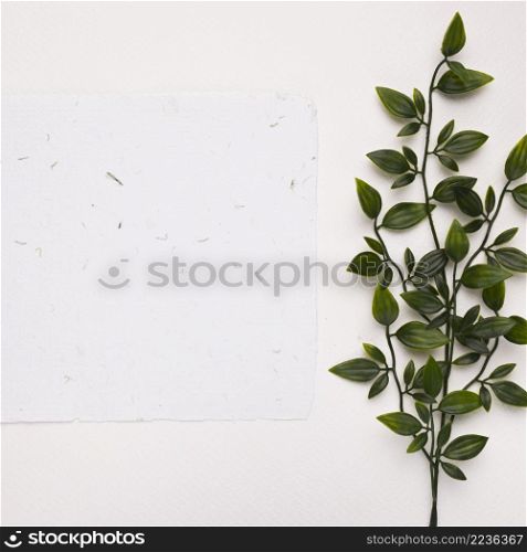 white textured paper near artificial green twigs with leaves white backdrop