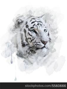 White Tiger Portrait. Digital Painting