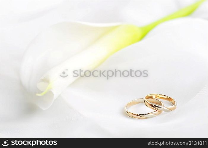 White transparent fabric and wedding rings close up