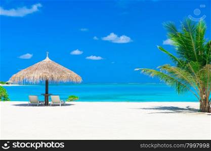 White tropical beach in Maldives with few palm trees and blue lagoon