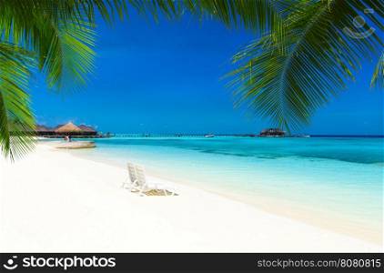 White tropical beach in Maldives with few palm trees and blue lagoon
