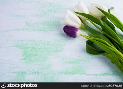 White tulips floral background. Flower frame. Flower background. Flower bouquet. Greeting card. Mothers day. Flowers. Flower pattern. Flower border. Place for text. Copy space. White tulips floral background