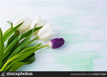 White tulips floral pattern background. Flower frame. Flower background. Flower bouquet. Greeting card. Mothers day. Flowers. Flower pattern. Flower border. Place for text. Copy space. White tulips floral pattern background