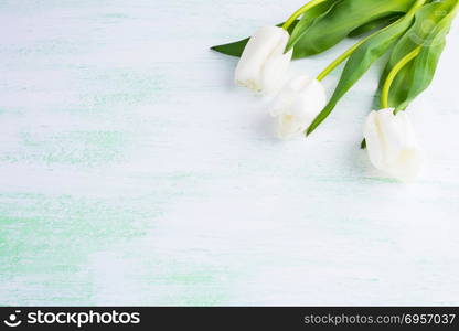 White tulips greeting card. Flower frame. Flower background. Flower bouquet. Greeting card. Mothers day. Flowers. Flower pattern. Flower border. Place for text. Copy space. White tulips greeting card